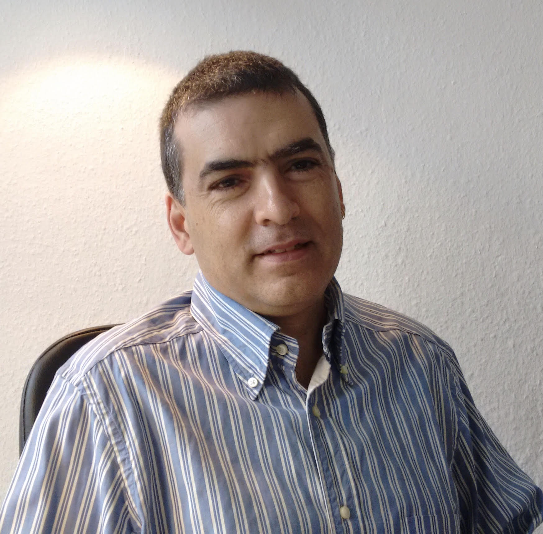 Antonio Fernando Skarmeta Gómez